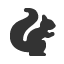 squirrel icon