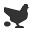 hen-egg icon
