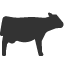 cow icon