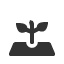 growing-plant-bud-stage icon
