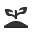 seed-plant icon