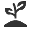 seed-adult-plant icon